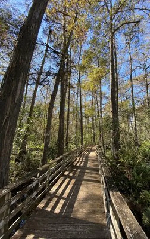 Imperial Bonita Estates