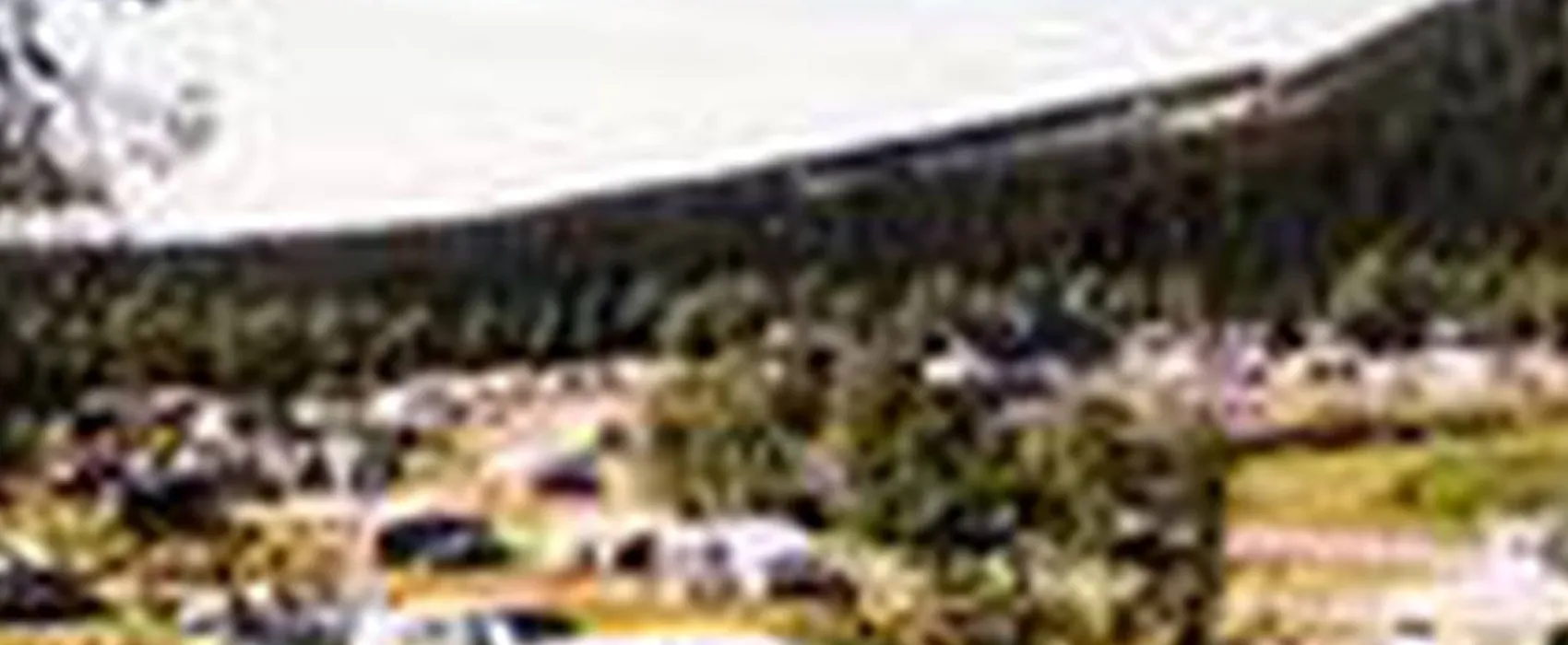 Bjørkestølen Camping/hytter