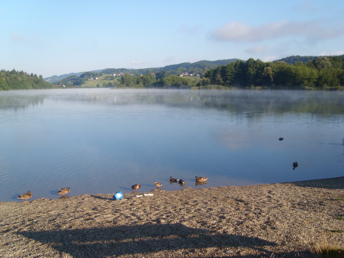Reichmann photo 4