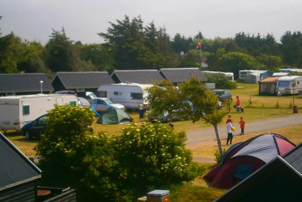 Vedersø Klit Camping