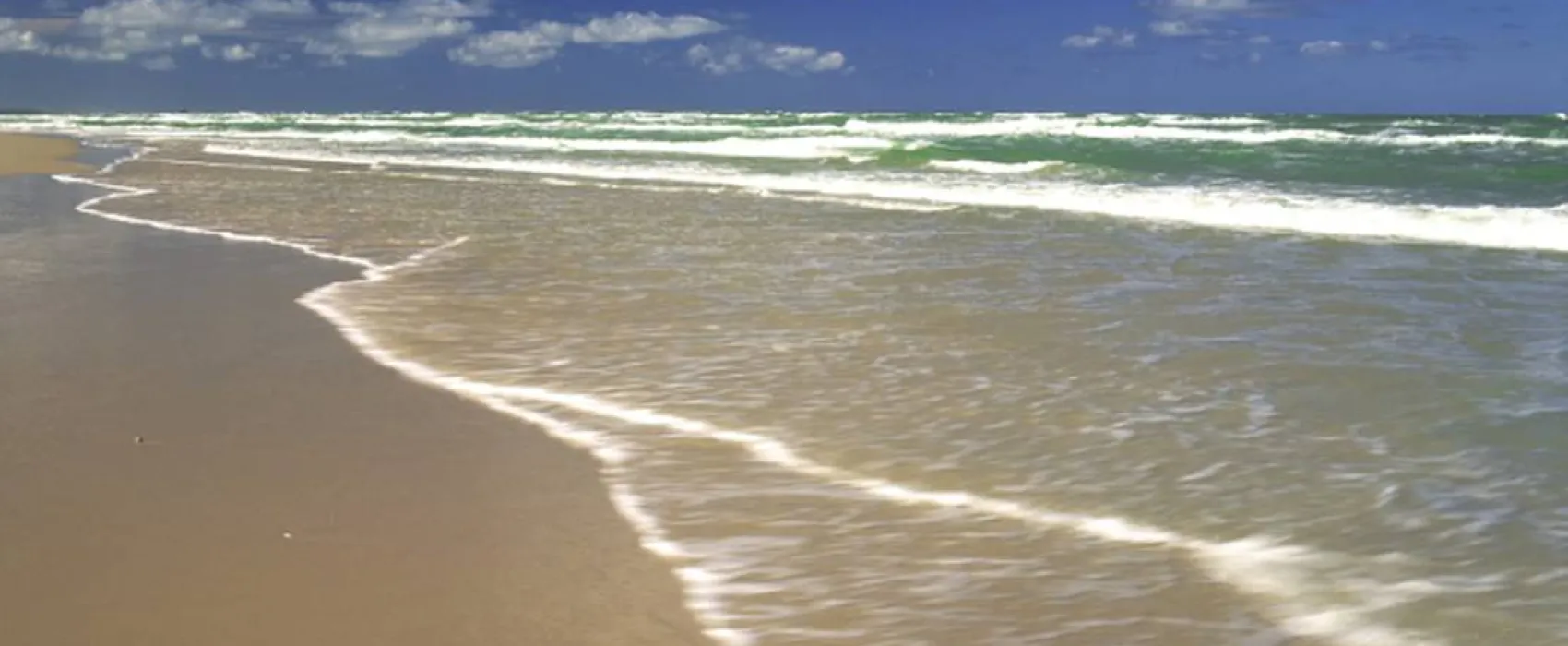 Vedersø Klit Camping