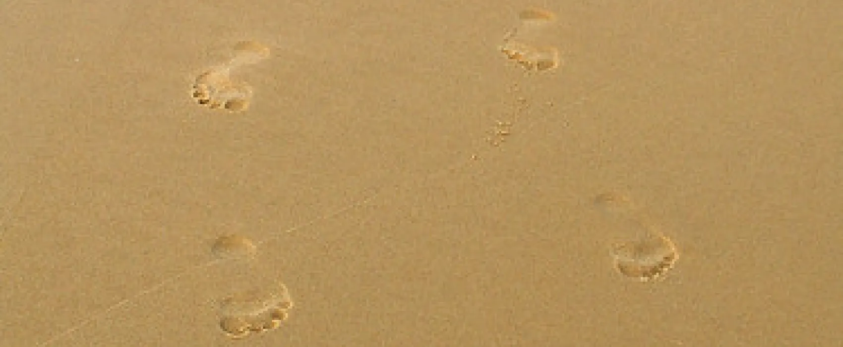 Gunnai Beach Campground