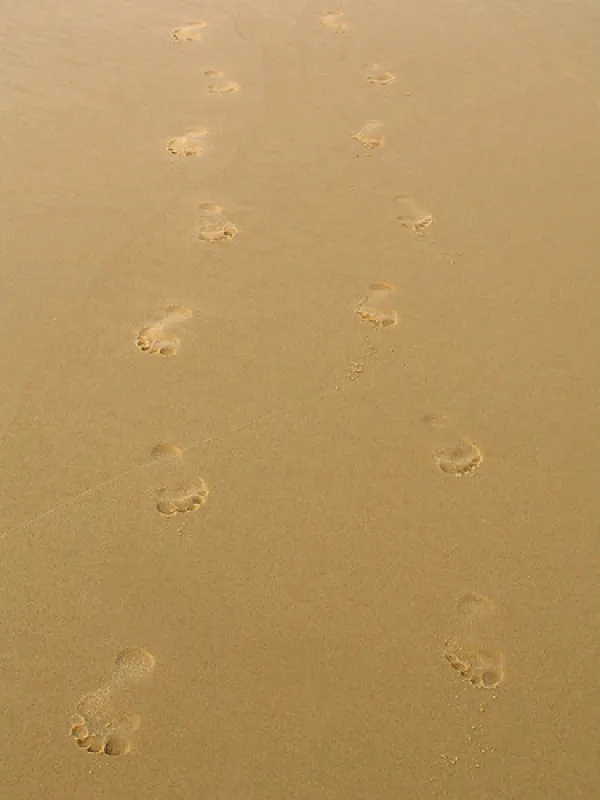 Gunnai Beach Campground