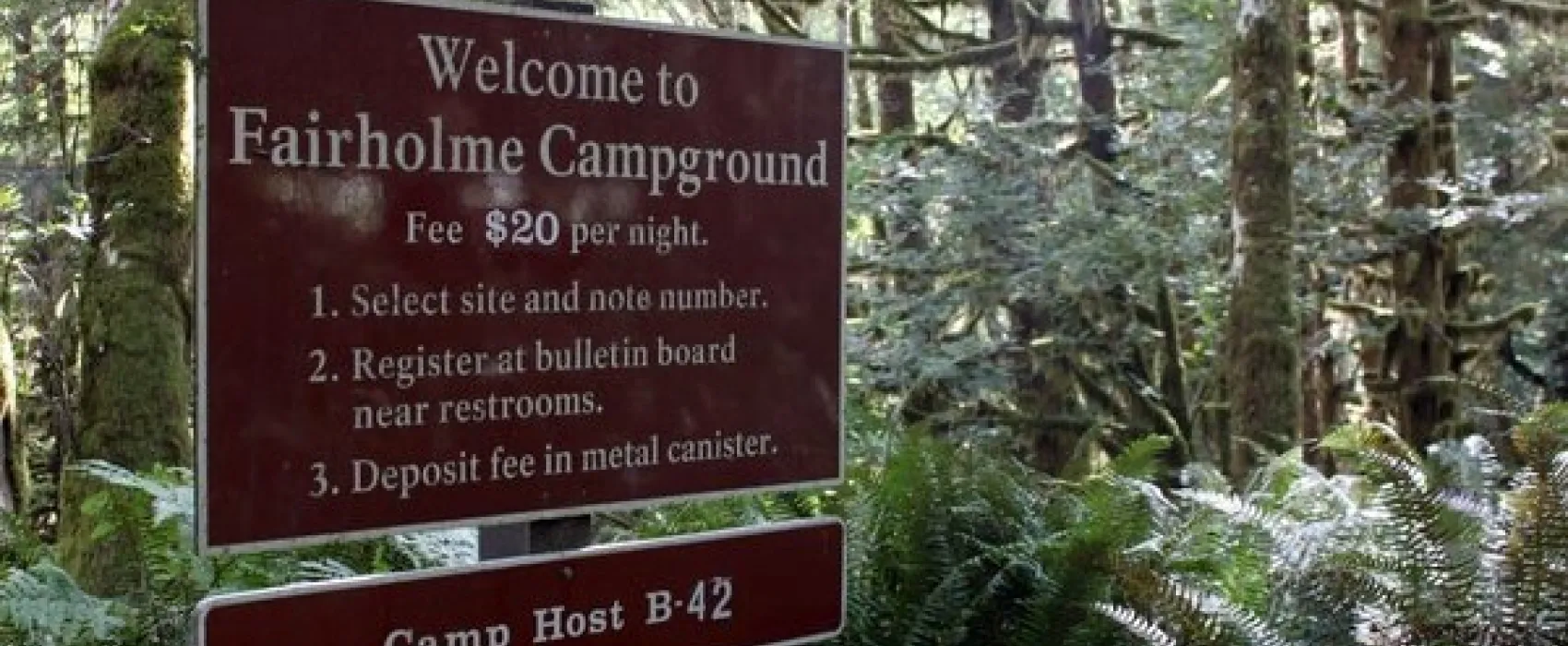 Fairholme Campground