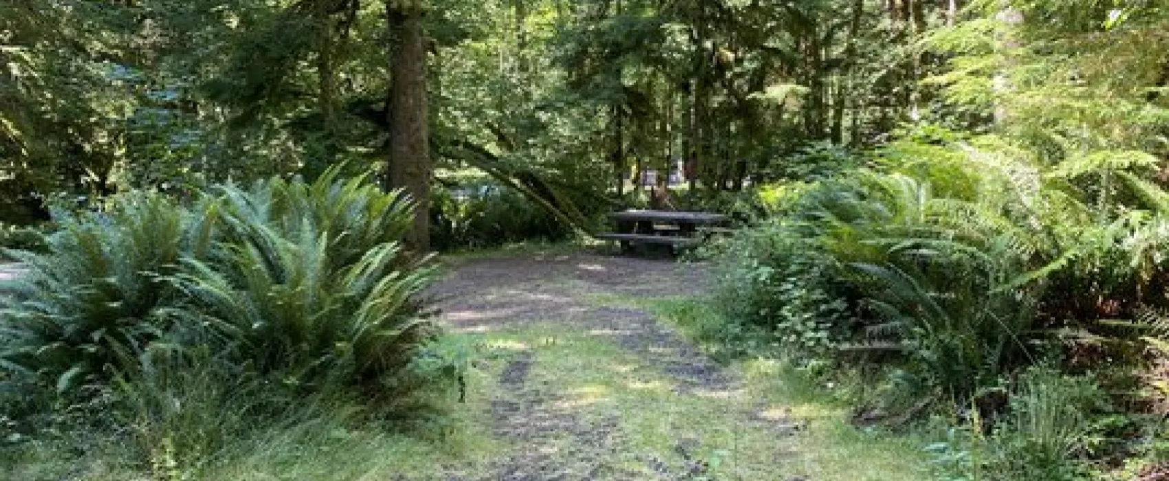 Fairholme Campground