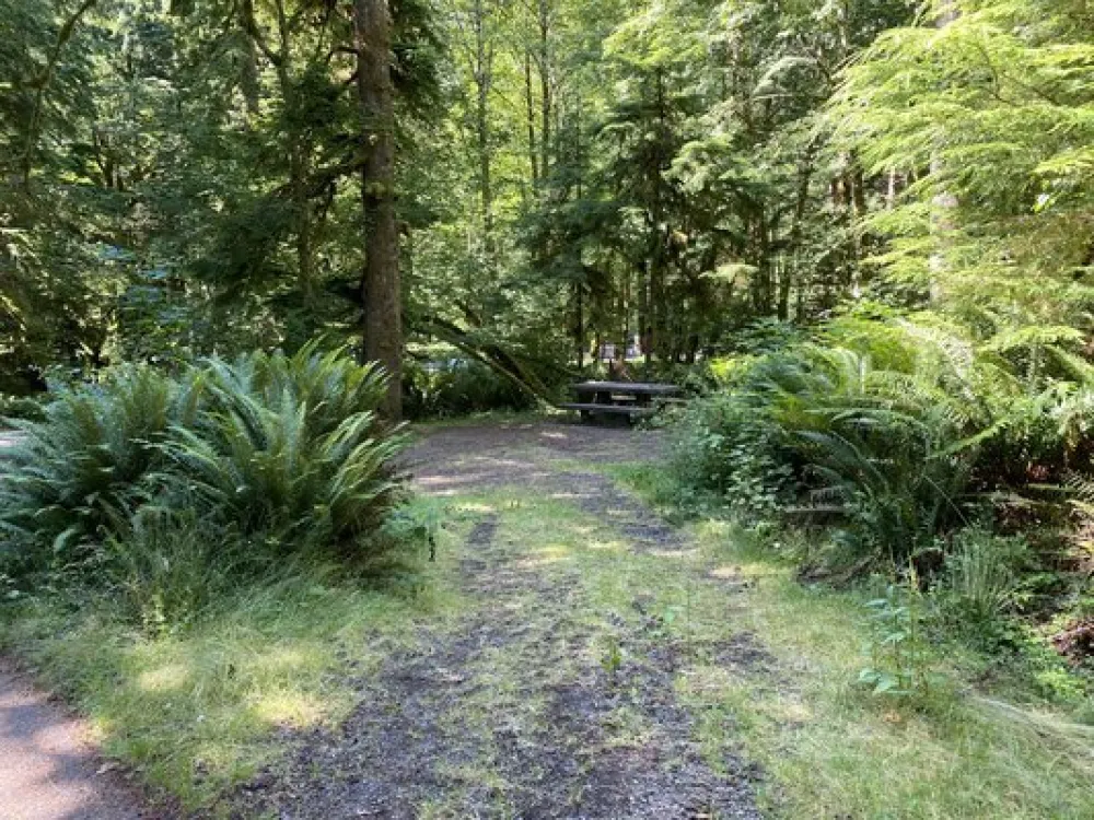 Fairholme Campground