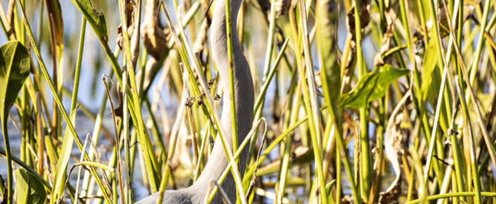 Clearwater Travel RV Resort