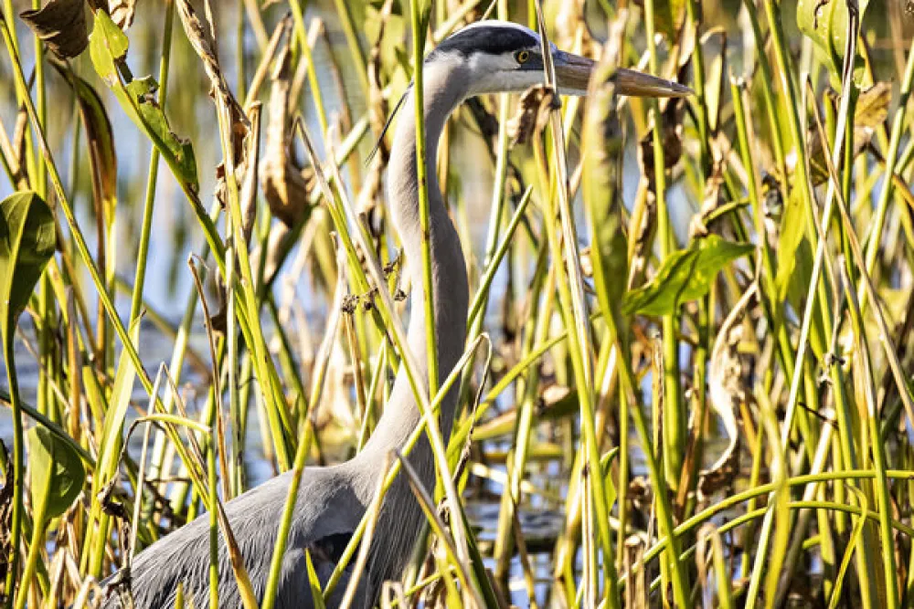 Clearwater Travel RV Resort