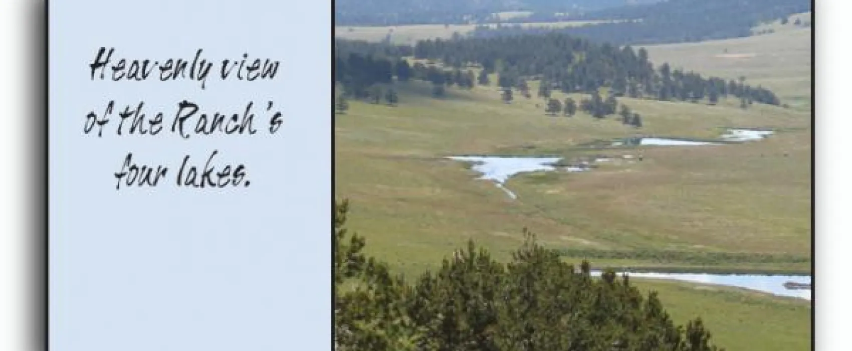 Cross D Bar Trout Ranch