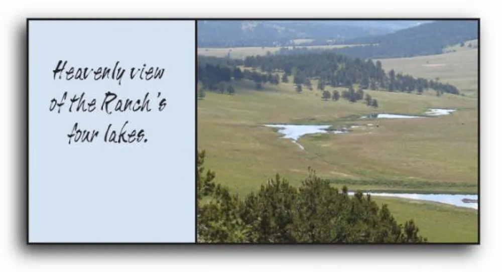 Cross D Bar Trout Ranch