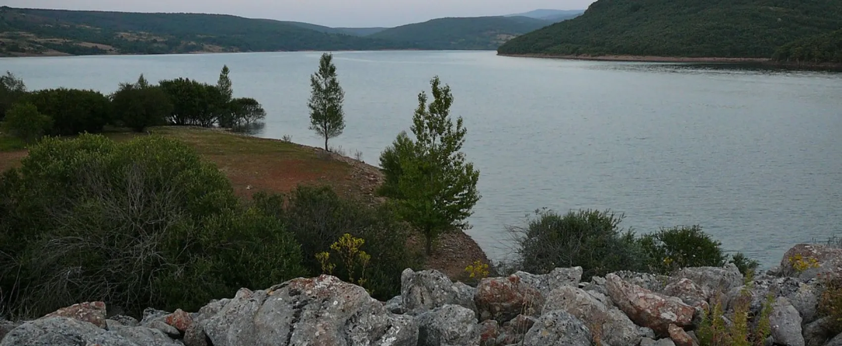 Puerta de la Demanda