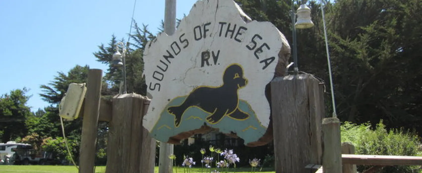 Sounds of the Sea