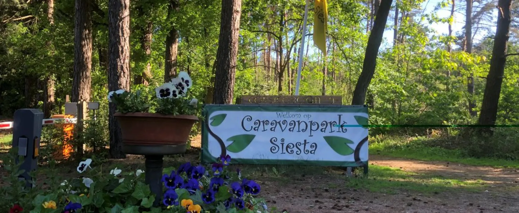 Recreatiepark Siesta