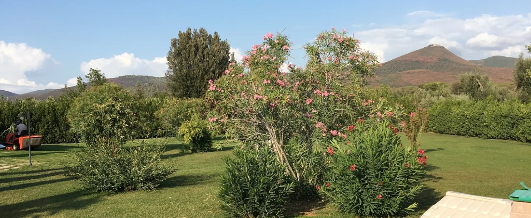 Agriturismo Eucaliptus (Glamping)