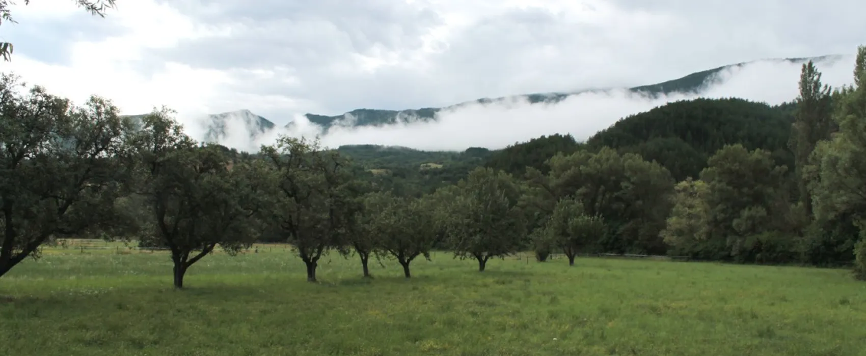Gorges de la Méouge