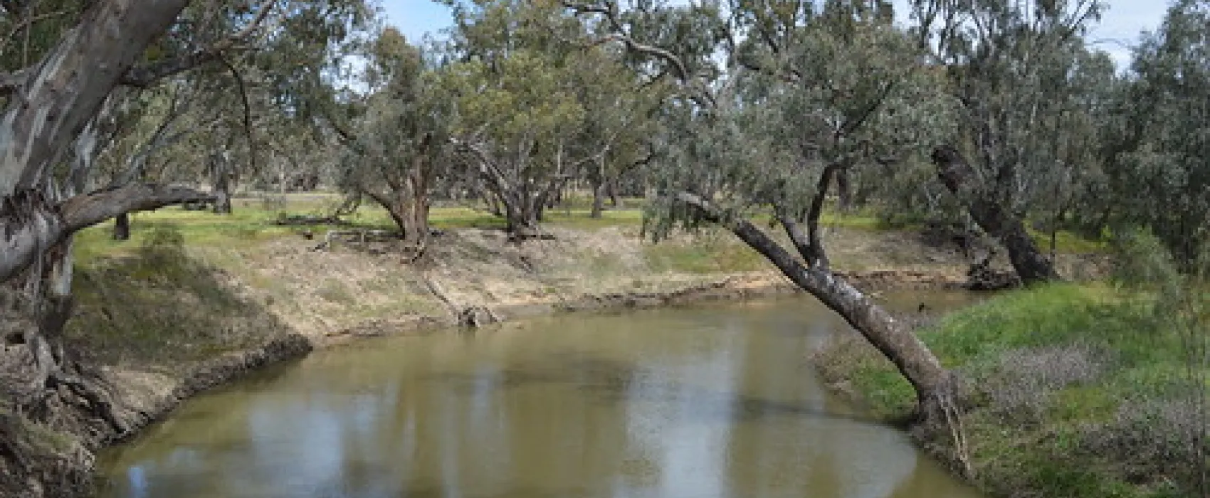 Euabalong Campground
