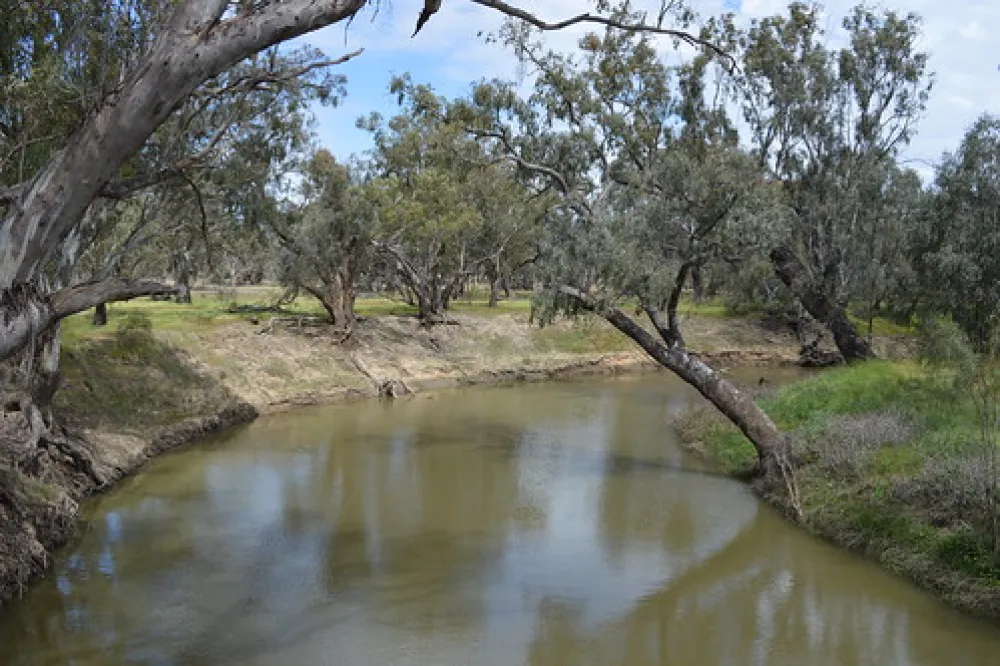 Euabalong Campground