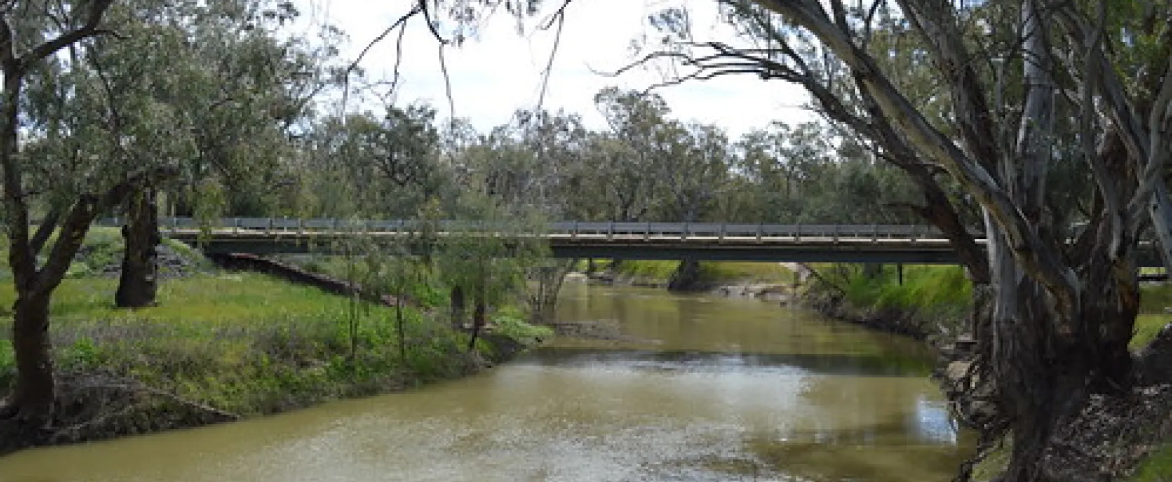 Euabalong Campground