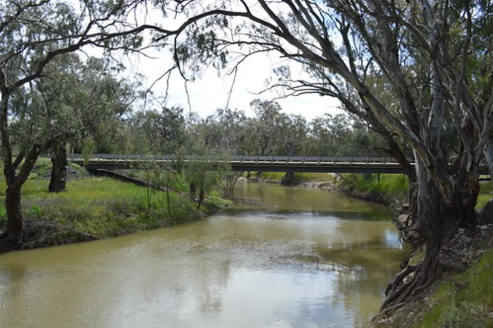 Euabalong Campground