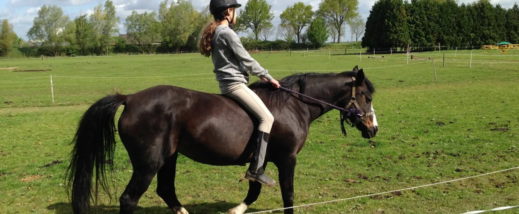 Ponyboerderij 's-Gravenhof