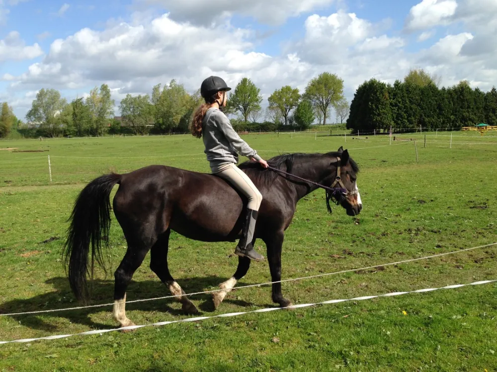 Ponyboerderij 's-Gravenhof
