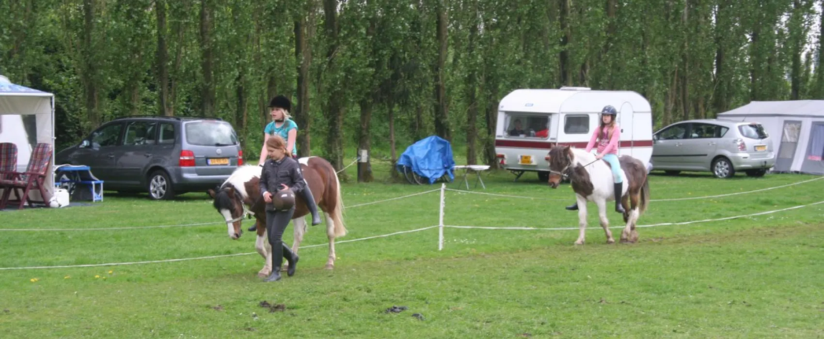 Ponyboerderij 's-Gravenhof
