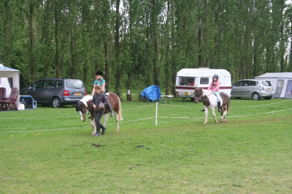 Ponyboerderij 's-Gravenhof