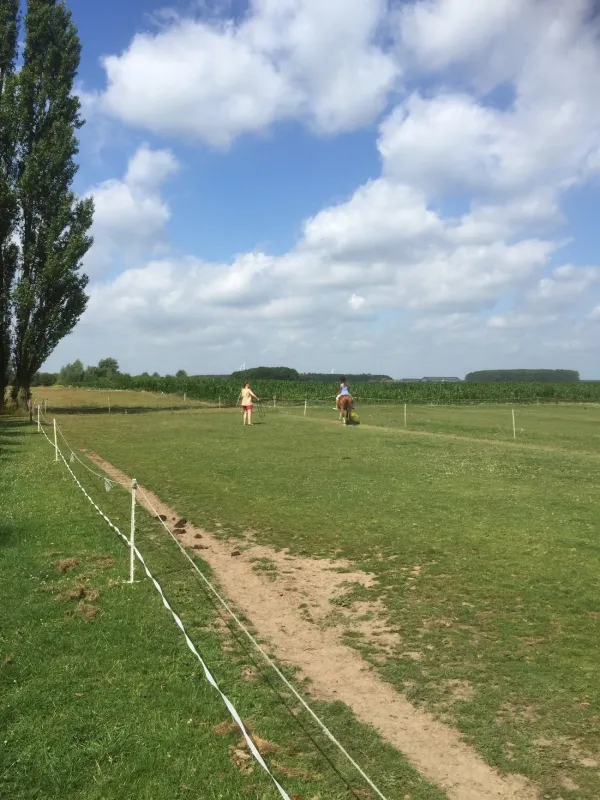 Ponyboerderij 's-Gravenhof