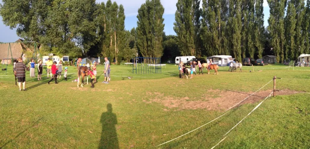 Ponyboerderij 's-Gravenhof