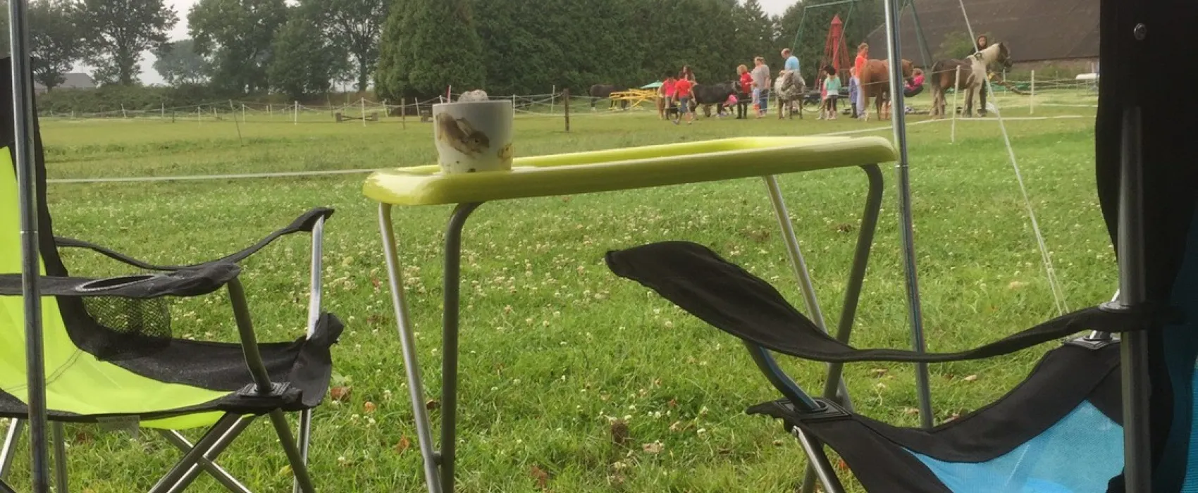 Ponyboerderij 's-Gravenhof