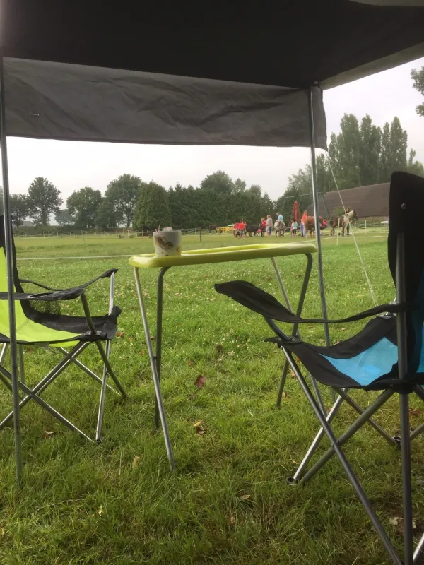 Ponyboerderij 's-Gravenhof