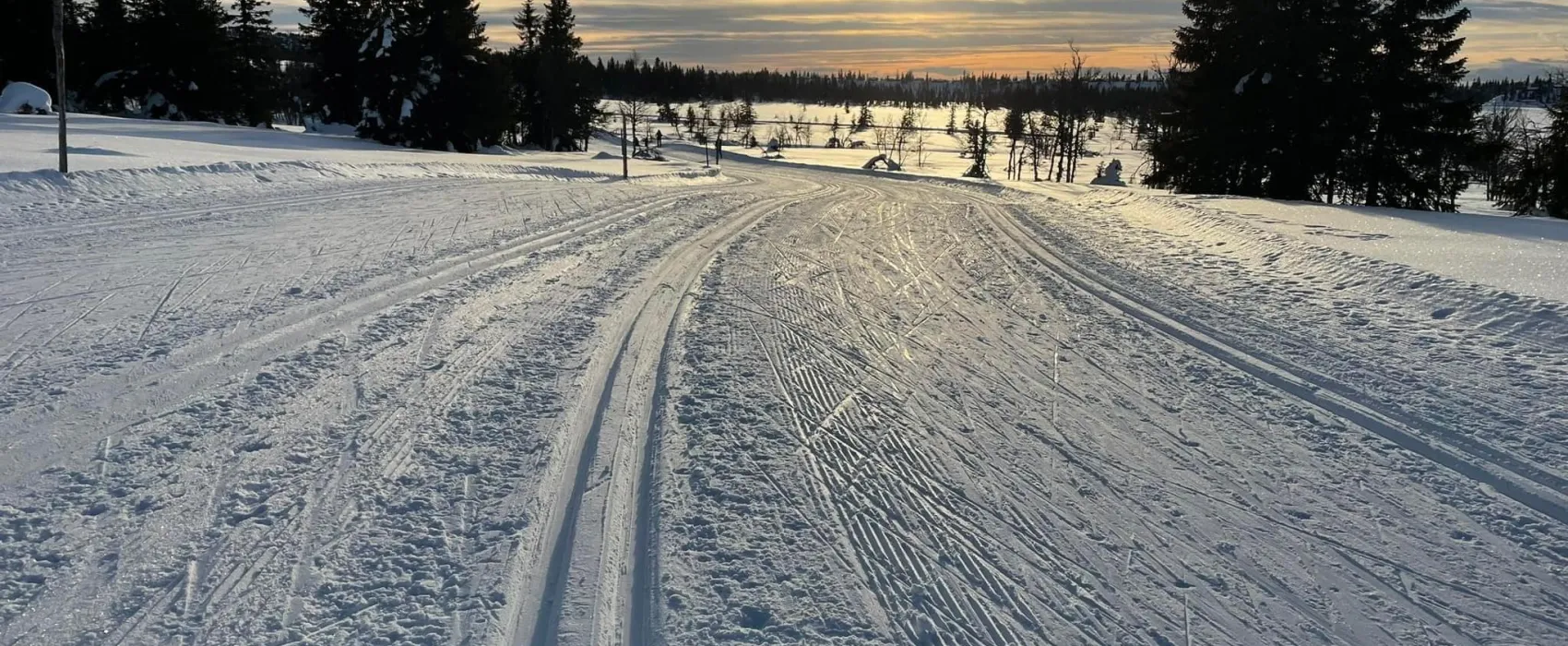 Sjusjøtunet Hytter og Caravansenter