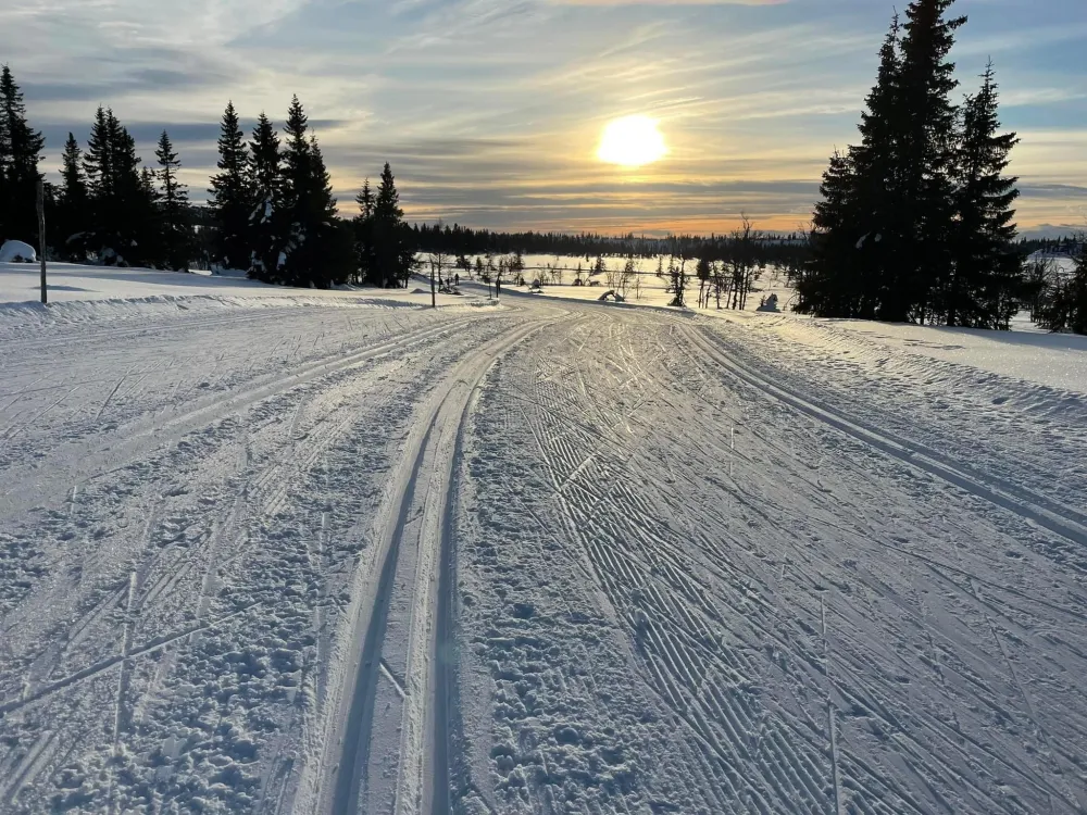 Sjusjøtunet Hytter og Caravansenter