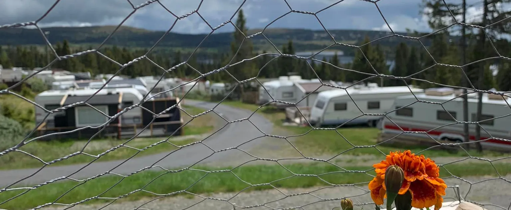 Sjusjøtunet Hytter og Caravansenter