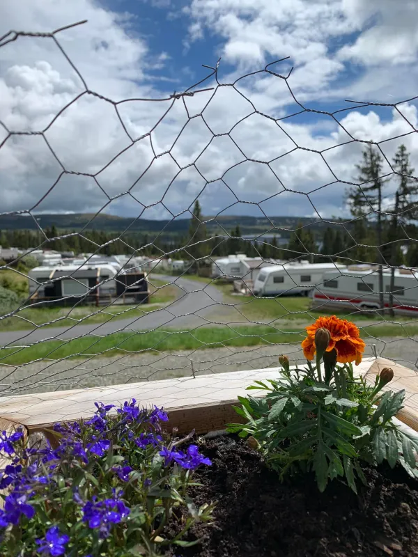 Sjusjøtunet Hytter og Caravansenter