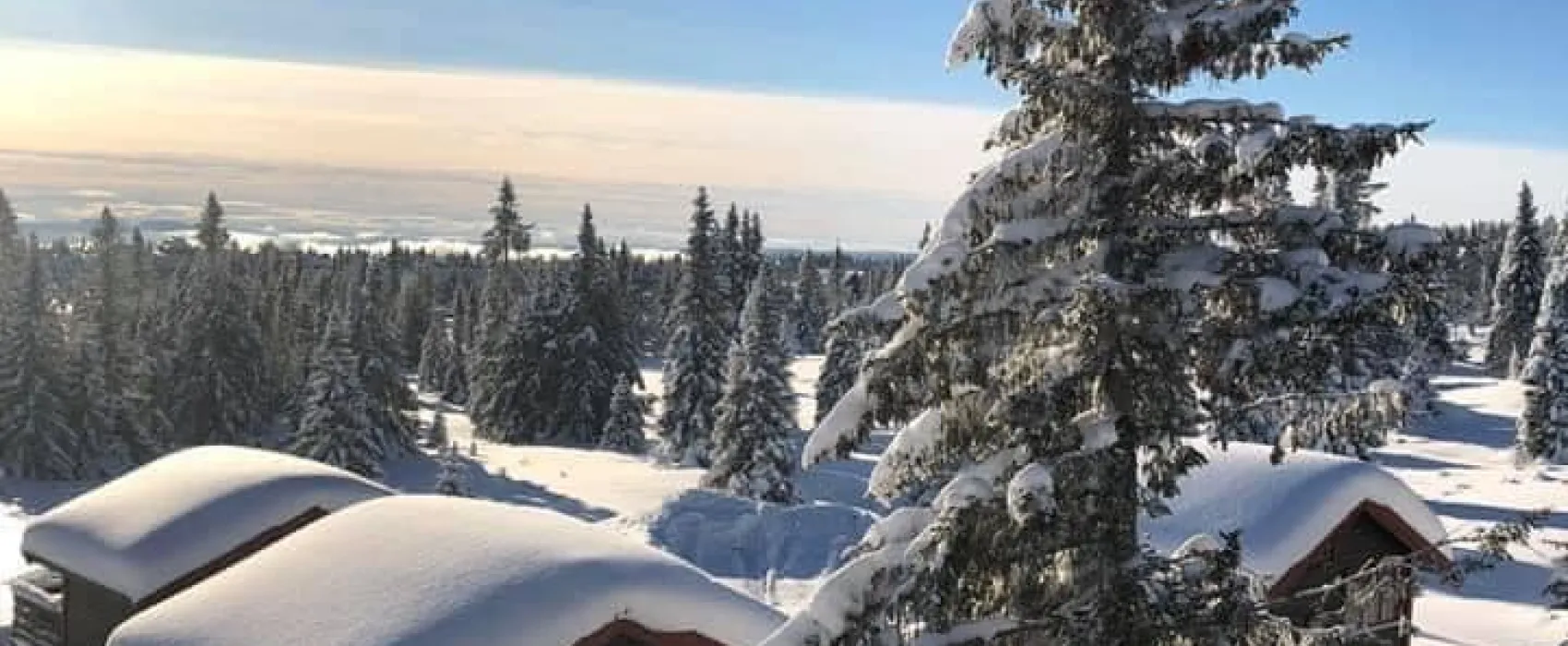 Sjusjøtunet Hytter og Caravansenter