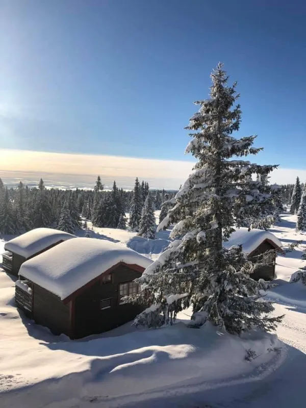 Sjusjøtunet Hytter og Caravansenter
