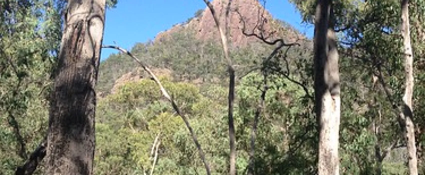 Cooks Mill Campground