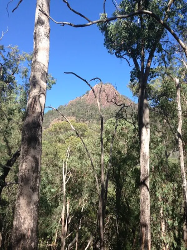 Cooks Mill Campground