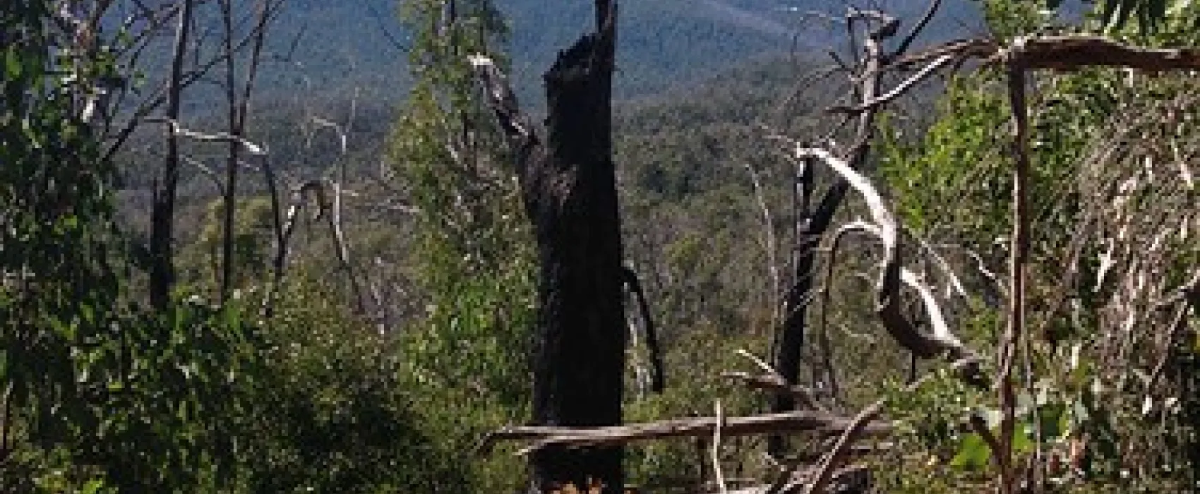 Cooks Mill Campground