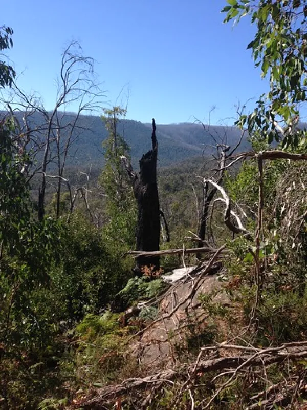 Cooks Mill Campground