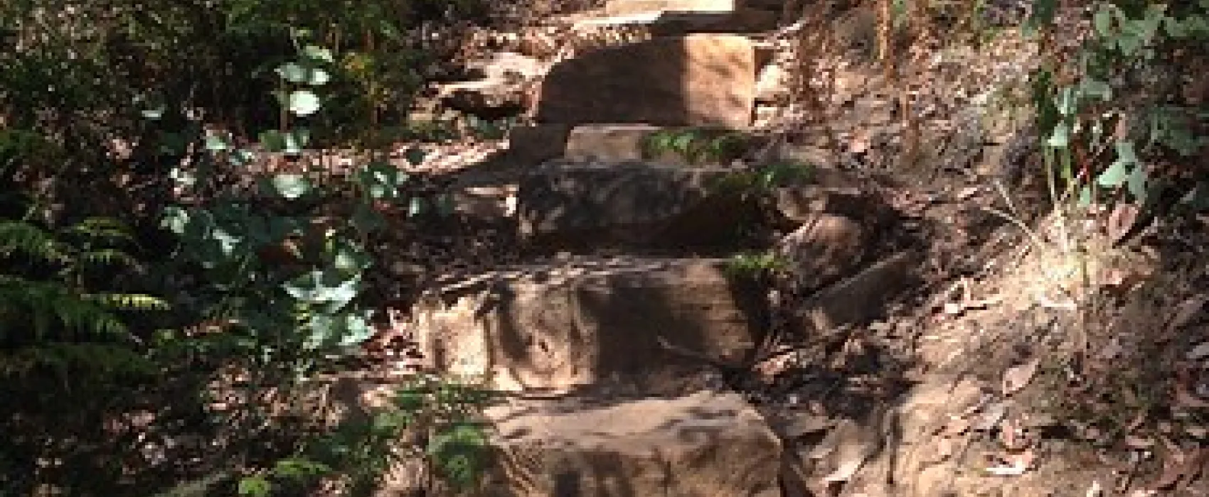 Cooks Mill Campground