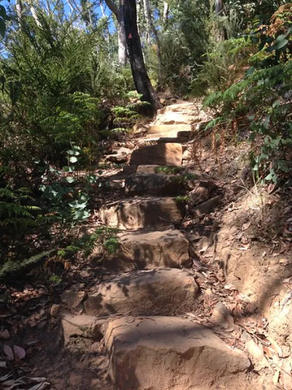 Cooks Mill Campground