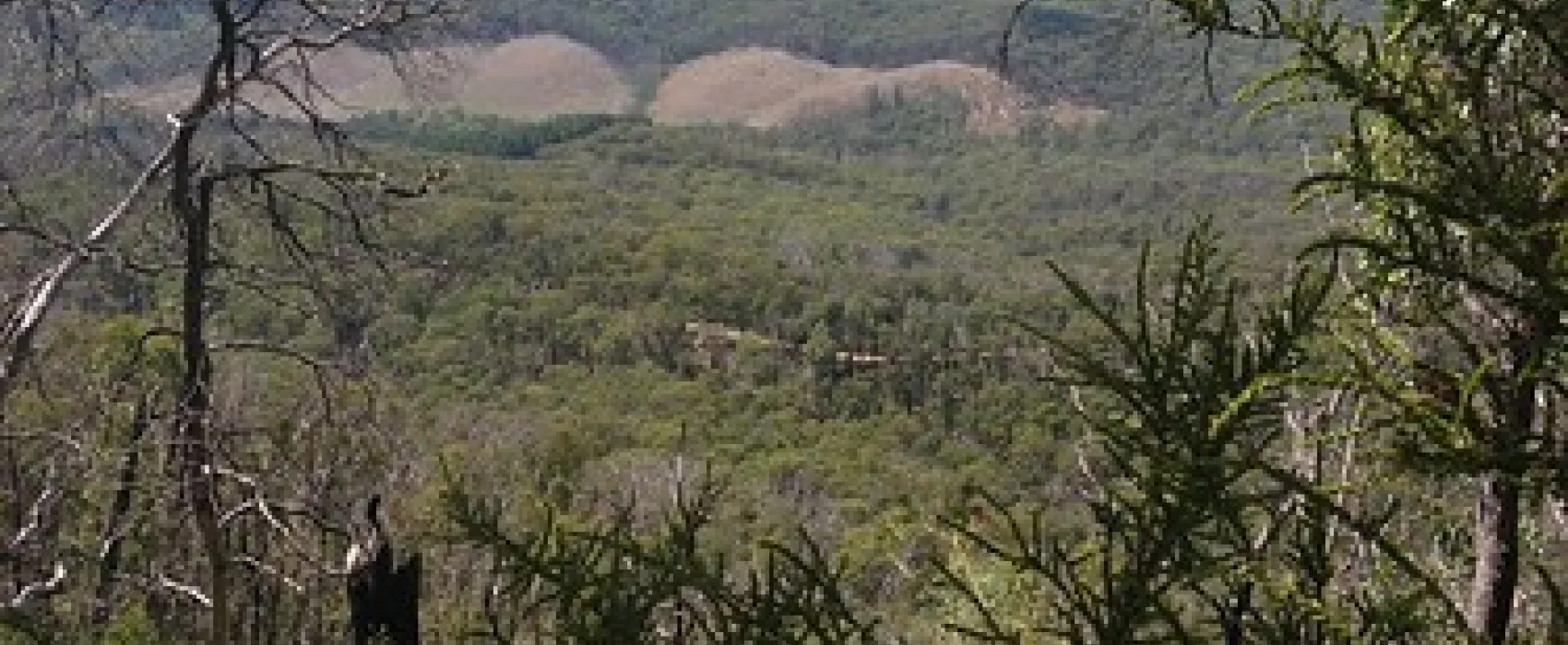 Cooks Mill Campground