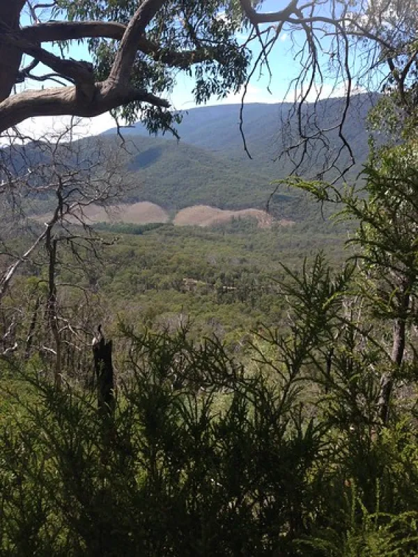 Cooks Mill Campground