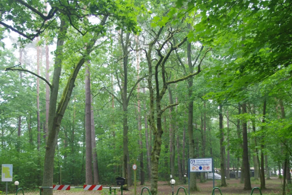 Campingverein  Möllensee Nord , Grünheide