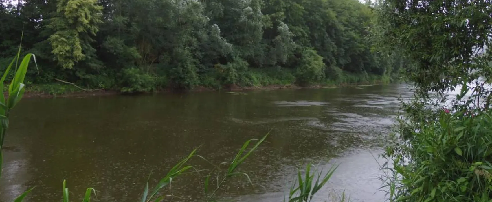 Campingplatz Ebenshausen