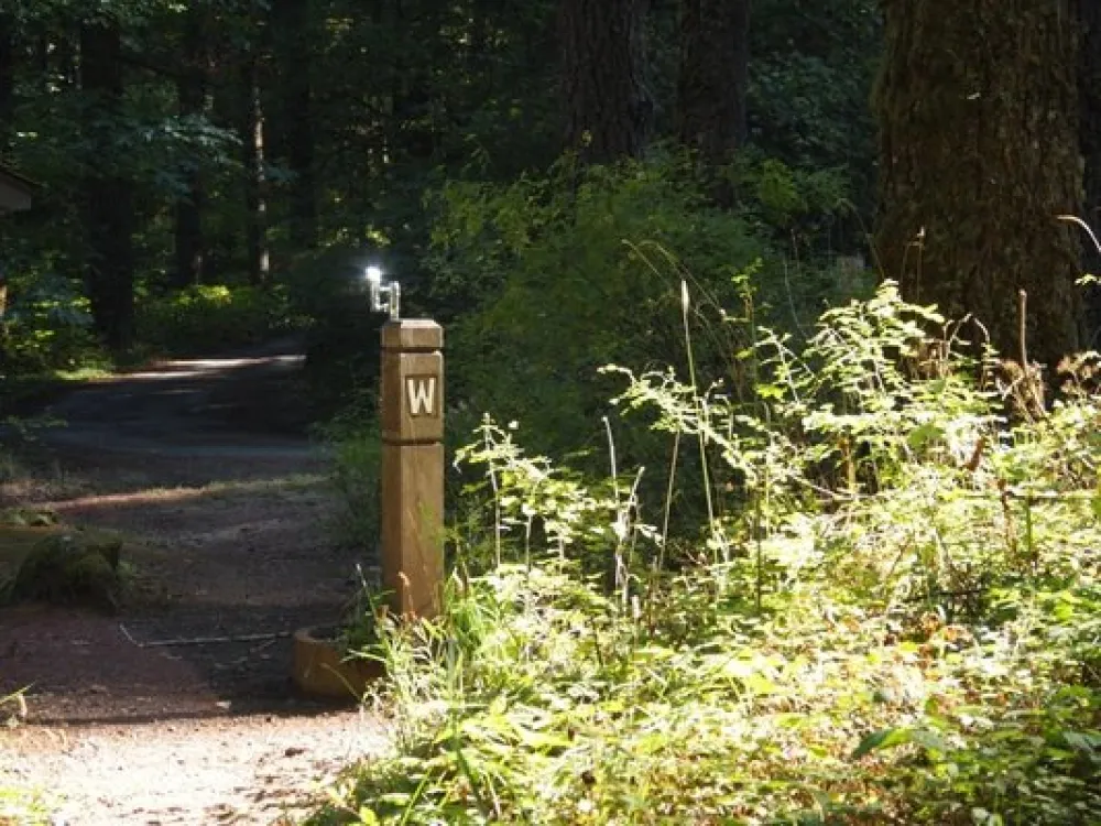 Herman Creek Campground