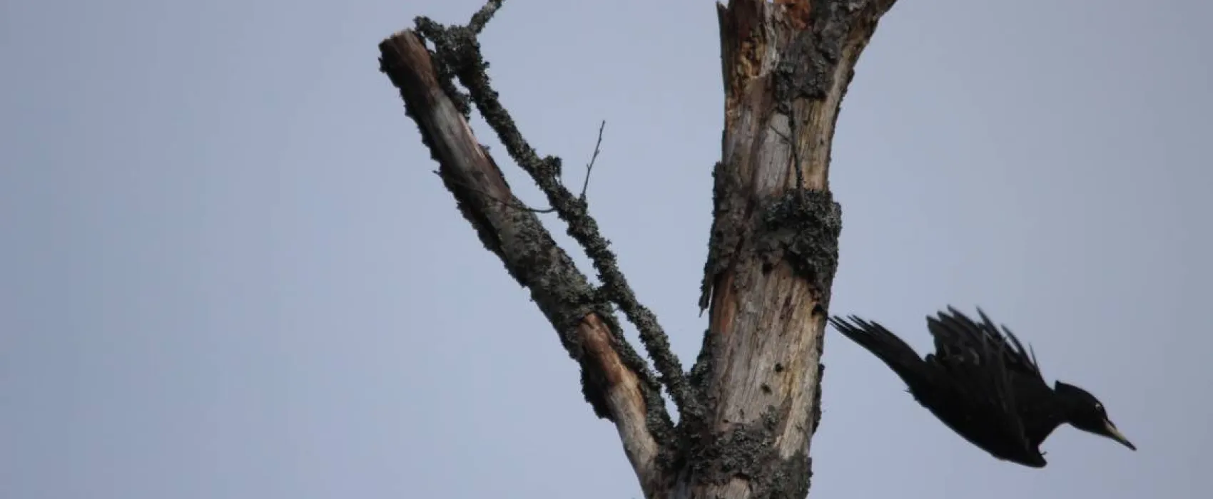 Agroecology Hutor of Komaryszkii