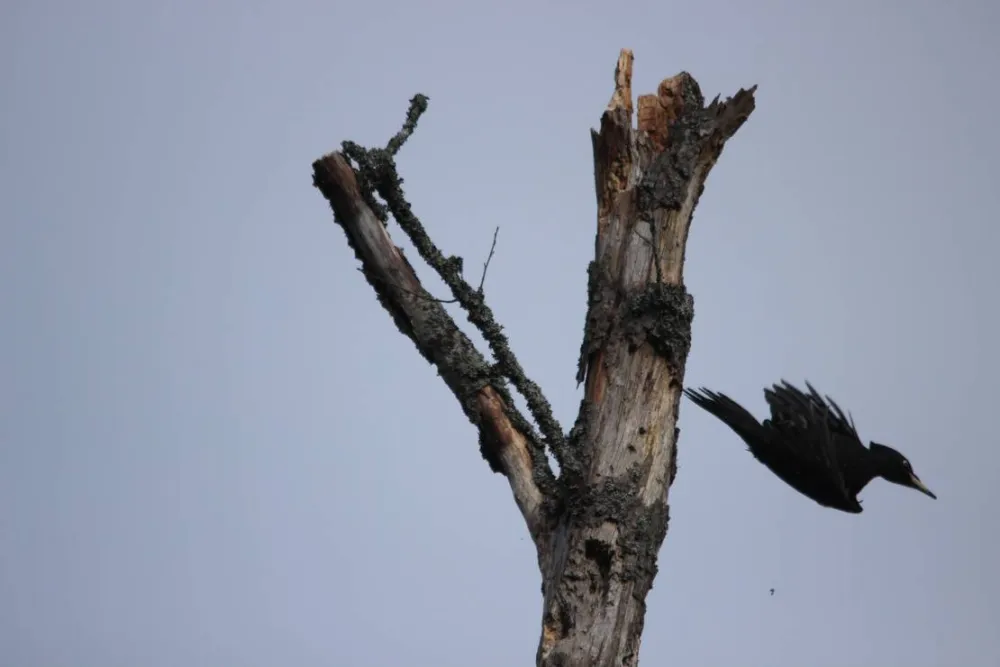 Agroecology Hutor of Komaryszkii
